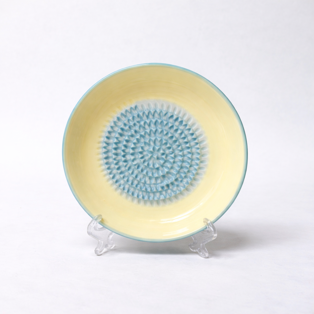 Slonkaz™ Handmade Ceramic Ginger & Garlic Grater – Fine Grinder for Fruits, Spices & Fresh Flavor